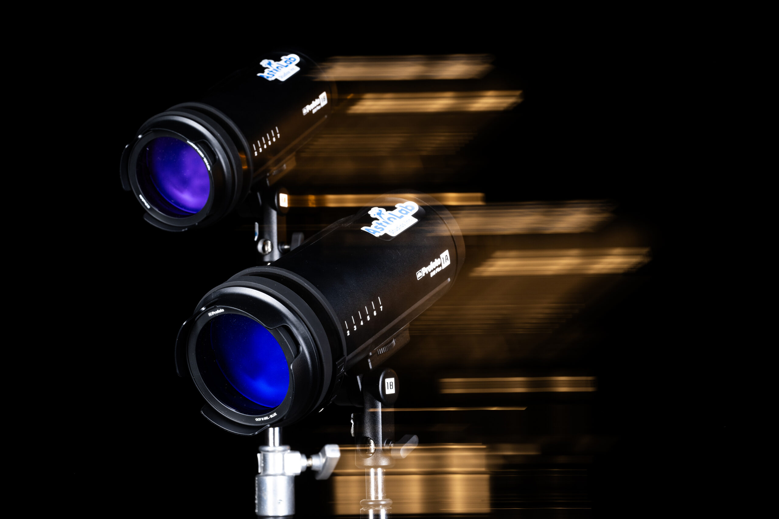 Profoto B10 Plus Heads